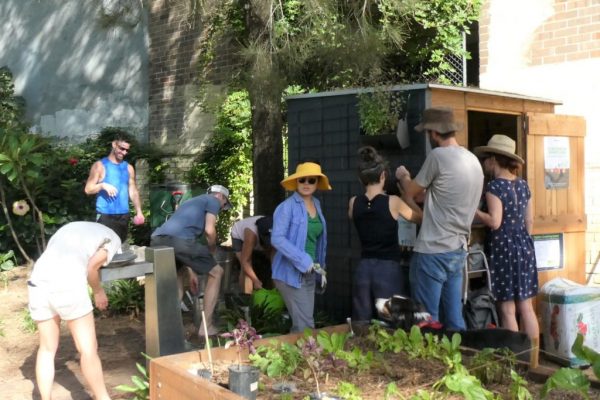 Updating the vertical garden