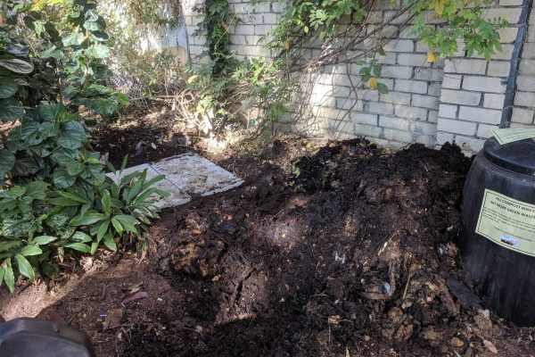 The contents of the bin - a pile of smelly green waste