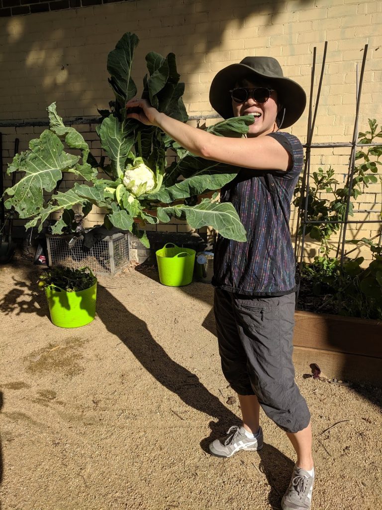 Proudly displaying cauliflower