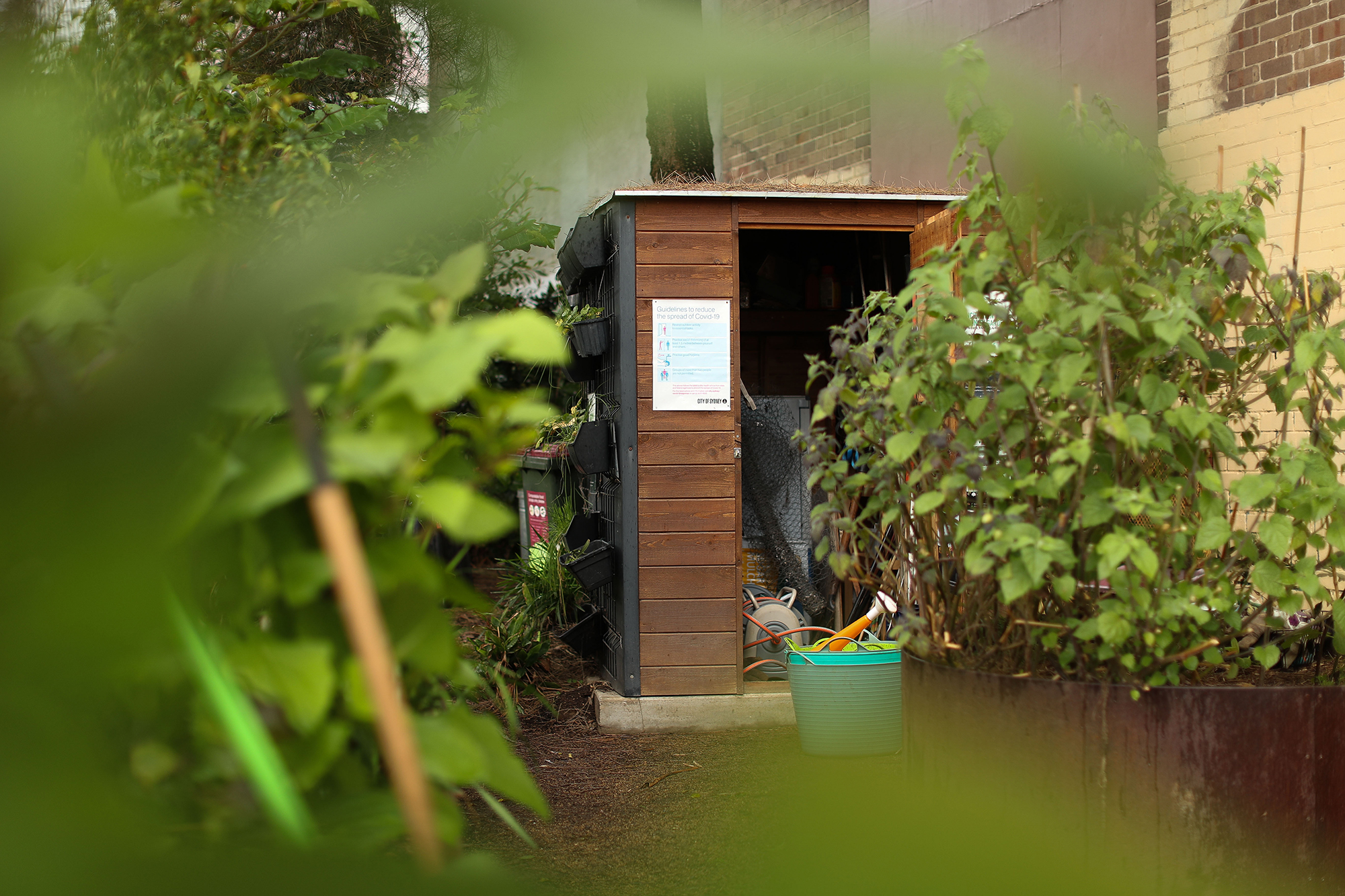 Meet Our Head Gardener