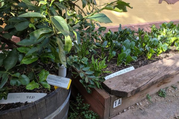 The more private part (the "Secret Garden")