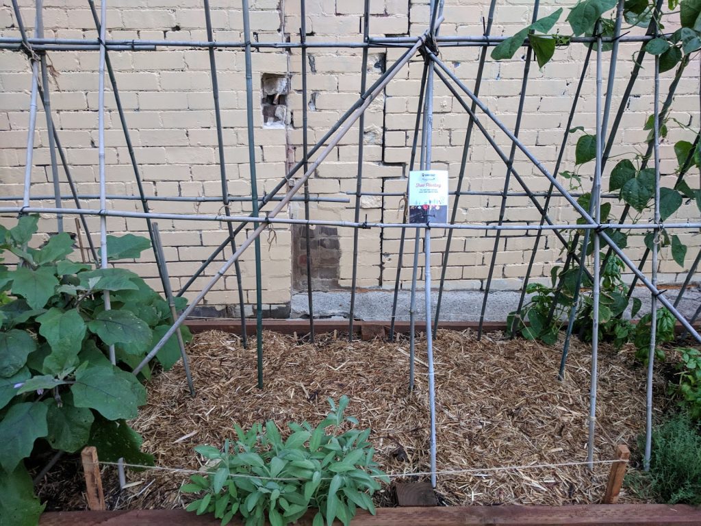 Free planting areas