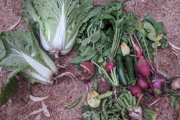 October harvest