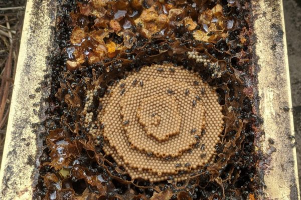 IMG_20210224_112632_sm