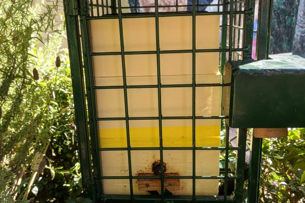 IMG_20220216_164654_sm